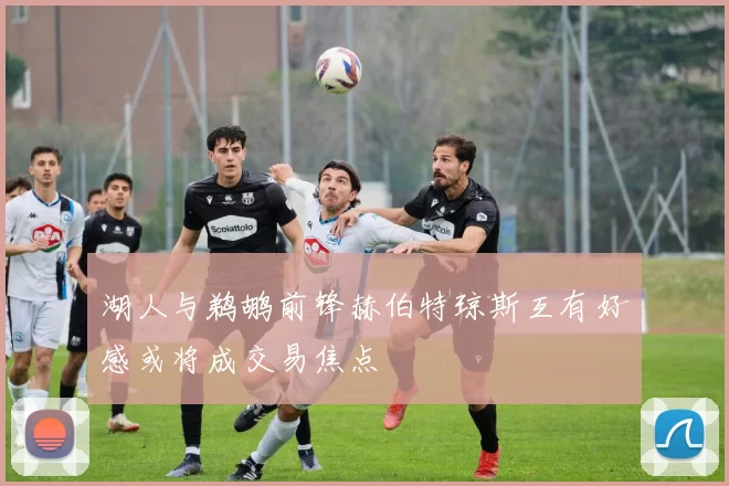 湖人与鹈鹕前锋赫伯特琼斯互有好感或将成交易焦点